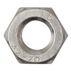 S/Steel (316) Hex Nut M16